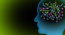 New fMRI research using Fast ForWord programs with brain tumour survivors