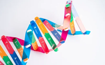 Is Auditory Processing Disorder genetic?