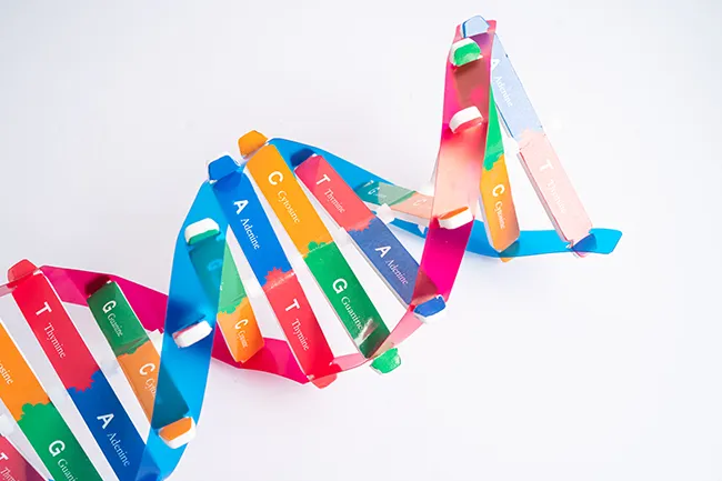 Is Auditory Processing Disorder genetic?